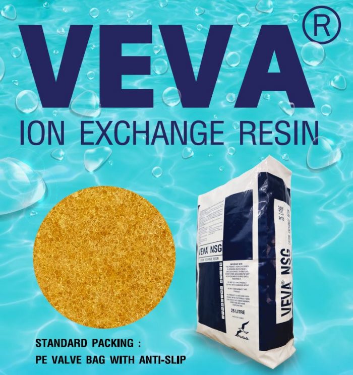 CATION EXCHANGE RESIN VEVA NSG